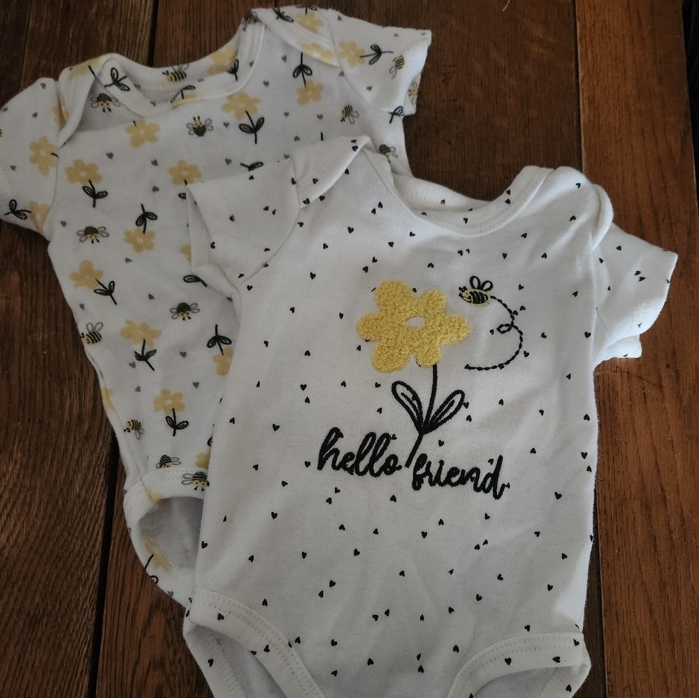 Baby Bodysuit Set with Floral and Bee Design